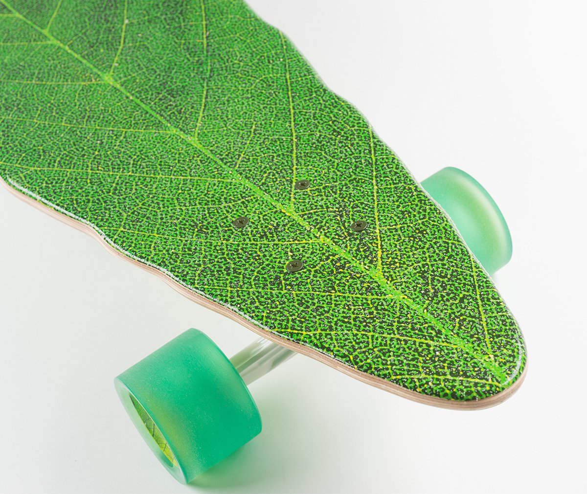 нашивка дубовые листья. листики заготовки под дерево. Vue редактор. Boxwood leaves texture. листва для блендера.