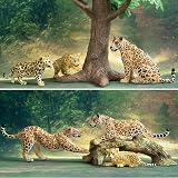 toymany 7PCS Leopard Family Figurines Cubs Tree Trunk Realistic Jungle Animals view 7