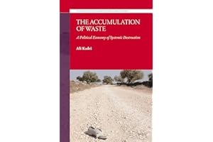 The Accumulation of Waste: A Political Economy of Systemic Destruction