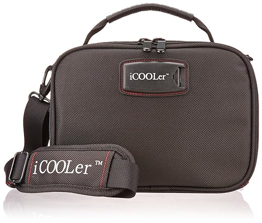 icooler lunch bag