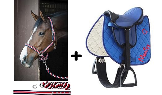 Sattelset Shetty/Pony mit Namen und Motiv auf der Schabracke und Halfterset - auch für Holzpferde