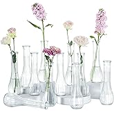 NUPTIO Glass Bud Vases Centerpiece: 12 Pcs Small Flower Vase for Wedding in Bulk - Cute Clear Ribbed Vase for Party Events Home Table Decor