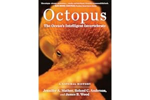 Octopus: The Ocean's Intelligent Invertebrate