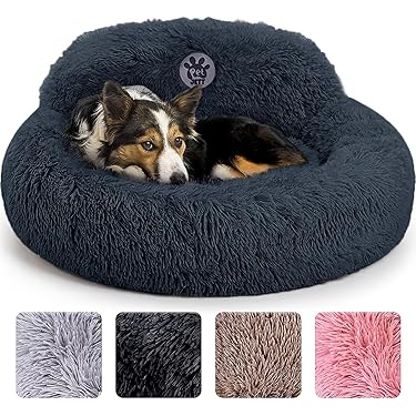 Amazon Best Sellers: Best Dog Beds
