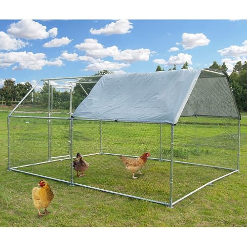 Large Metal Chicken Coop Walk-In Poultry Cage By Morngardo – 9.8x9.8x6.4 Ft With Cover