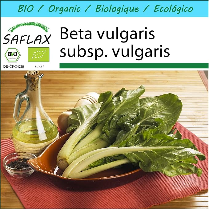 SAFLAX - Set regalo - Ecológico - Acelga suiza - 150 semillas ...