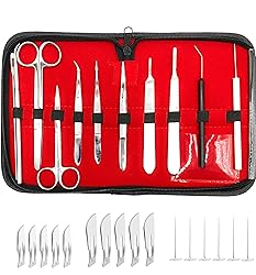 28 Piece Complete Dissection Kit with Dissecting