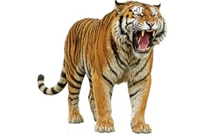 DP BOUTIQUE Tiger 4FT Life Size Cardboard Cutout, Safari Theme Decoration, Animals Standup for Events, Party, Photography Props, 1 PC