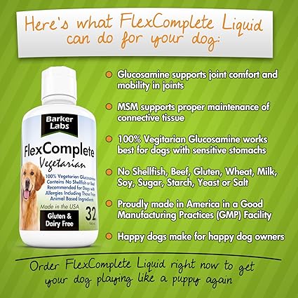 vegetarian glucosamine for dogs