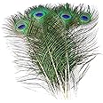 Piokio 100 pcs Natural Peacock Feathers in Bulk 16-18 inch(40-45 cm) Bulk for DIY Craft, Wedding, Decoration