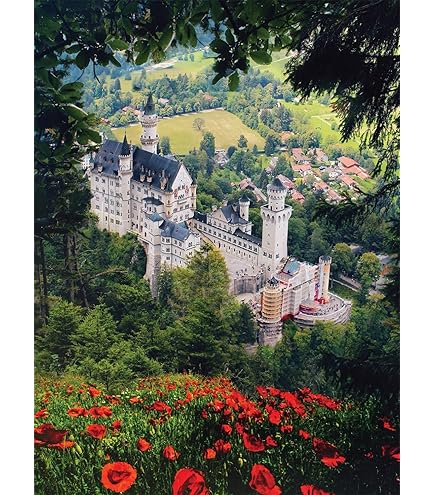 Puzzle Da 1000 Pezzi Più Piccolo Del Mondo - Castello Di Neuschwanstein - 5