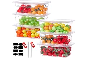 SVKLHY 1/4 Size 2.5 Inch Clear NSF Polycarbonate Food Pan-9 PCS[Food Grade][Hot&Cold Resistant] Commercial Food Pans with Lids, Restaurant Food Storage Containers Hotel Pan(BPA-FREE)