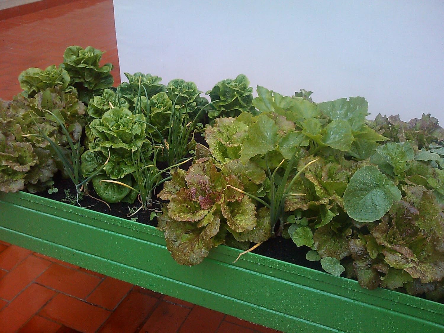 Suministros Infantes Mesa DE Cultivo Lacada Verde. Medidas: Largo ...