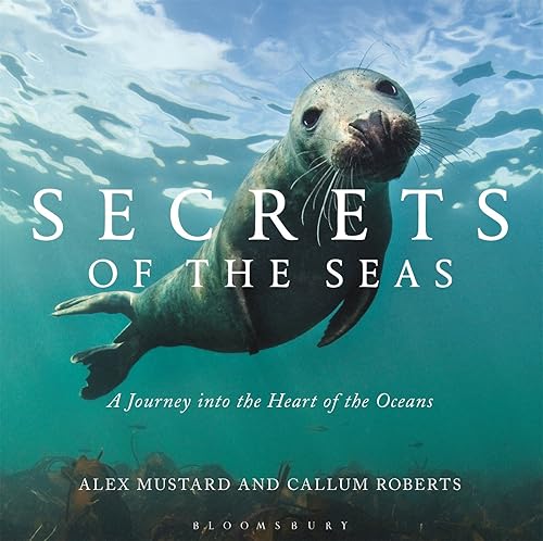 Download Secrets of the Seas: A Journey into the Heart of the Oceans PDF