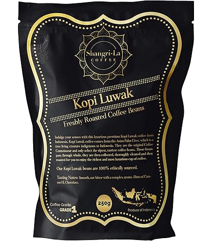 JJ  100% Pure Luwak Coffee 100g缶 41o58kmcSzL._AC_UF350,