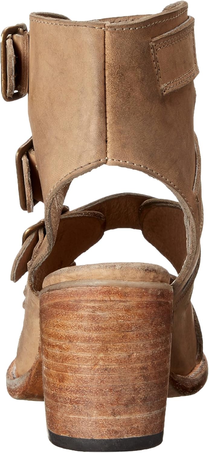 freebird by steven quail