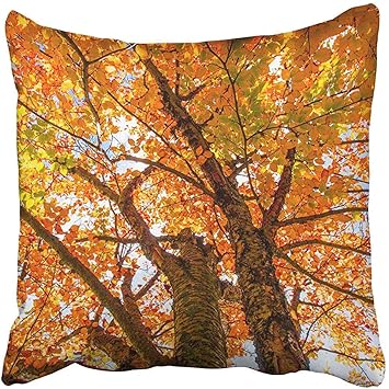 Amazon Com Staroden Throw Pillow Covers Cases Decorative 20x20