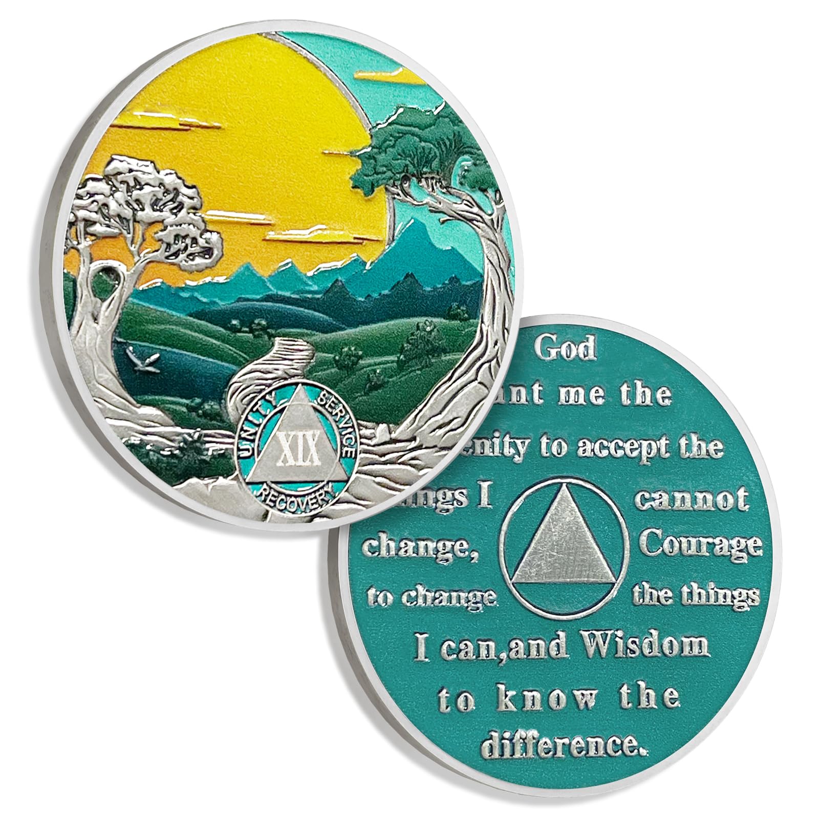 19 Years Sobriety Coin Sun Chips Alcoholics Anonymous Medallion AA Chips and Medallion Sobriety Gifts for Men Women Anniversary Token Recovery Gift Forest Tree Coin