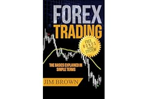 Forex Trading: The Basics Explained in Simple Terms (Bonus System incl. videos): The Bonus System includes his personal indic