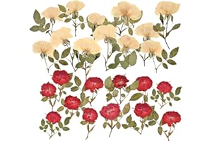 HAIOPS 24PCS Dried Pressed Rose, Natural Rose for Resin Scrapbook Candle Soap Making (White+Red)