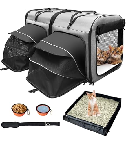 Two Cat Carrier Double Pet Carrier For Cats Small Dogs