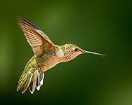 Review Image by bedobe bedobe