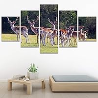 SIGNWIN 5 Panel Canvas Wall Art Modern Art Animals Dramatic Giraffe Lion Multicolor Photography Southwest for Home Decorations Ready to Hang - 60
