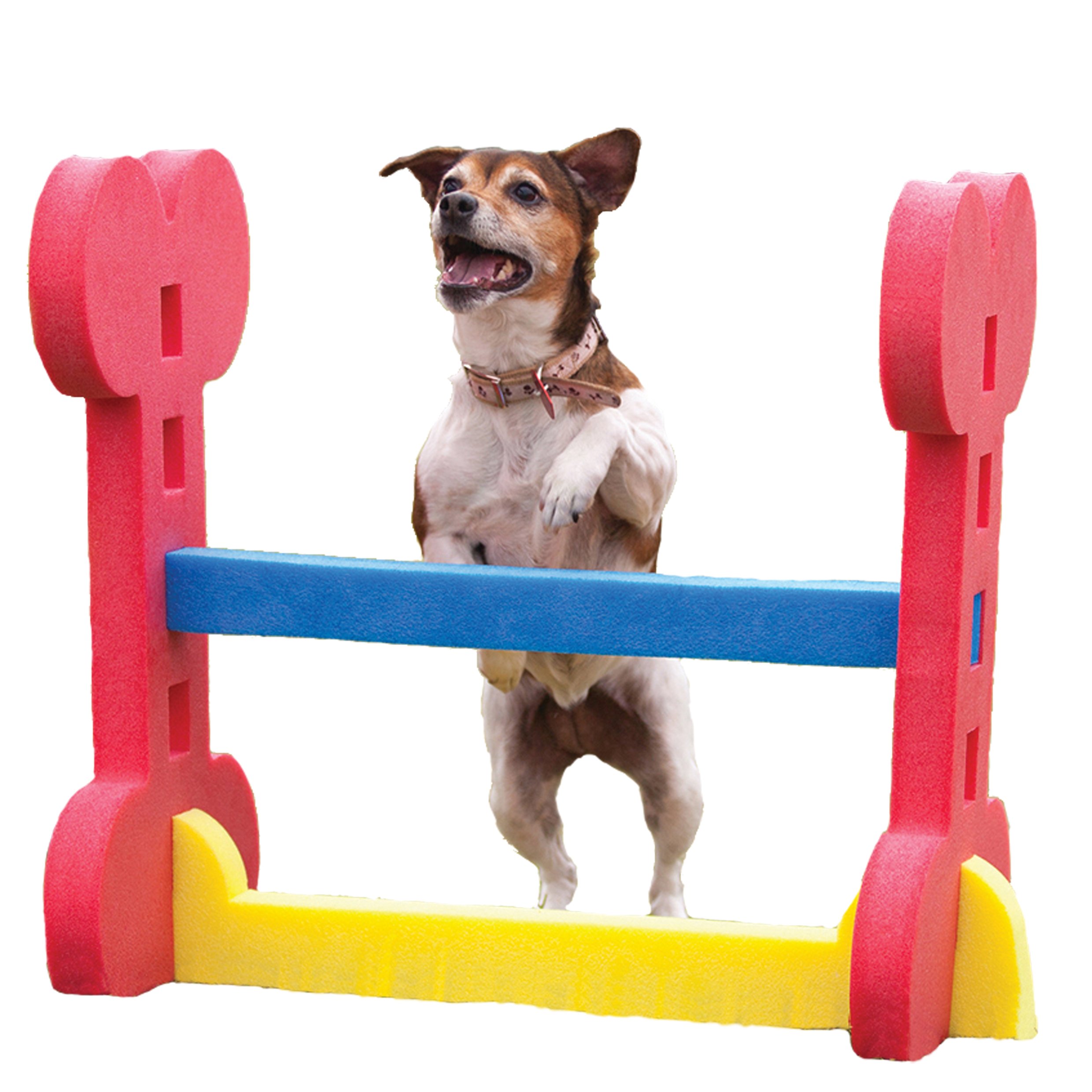 Rosewood Small Dog Agility Hurdle – Adjustable Training Jump Bar for Small to Medium Breeds, Indoor & Outdoor Pet Exercise, Lightweight, Portable Dog Agility Equipment