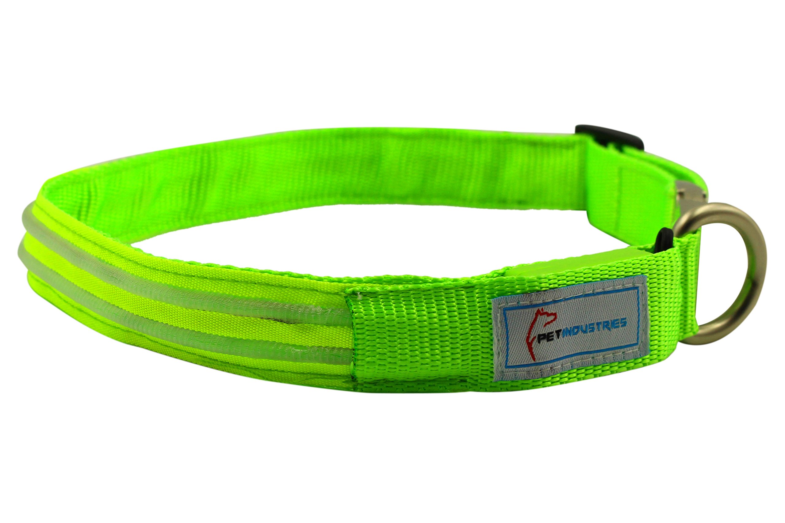 Pet Industries Metal Buckle LED Dog Collar, USB Rechargeable, Available