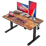 BANTI 48'' Standing Desk, Electric Stand up Height