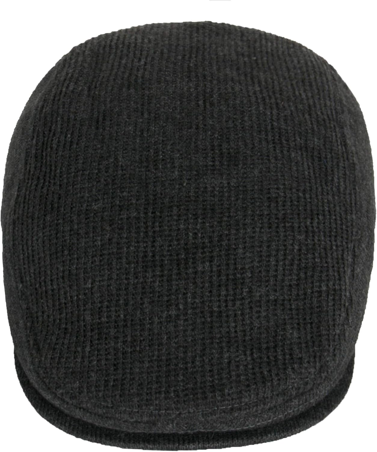 levi's canvas ivy cap