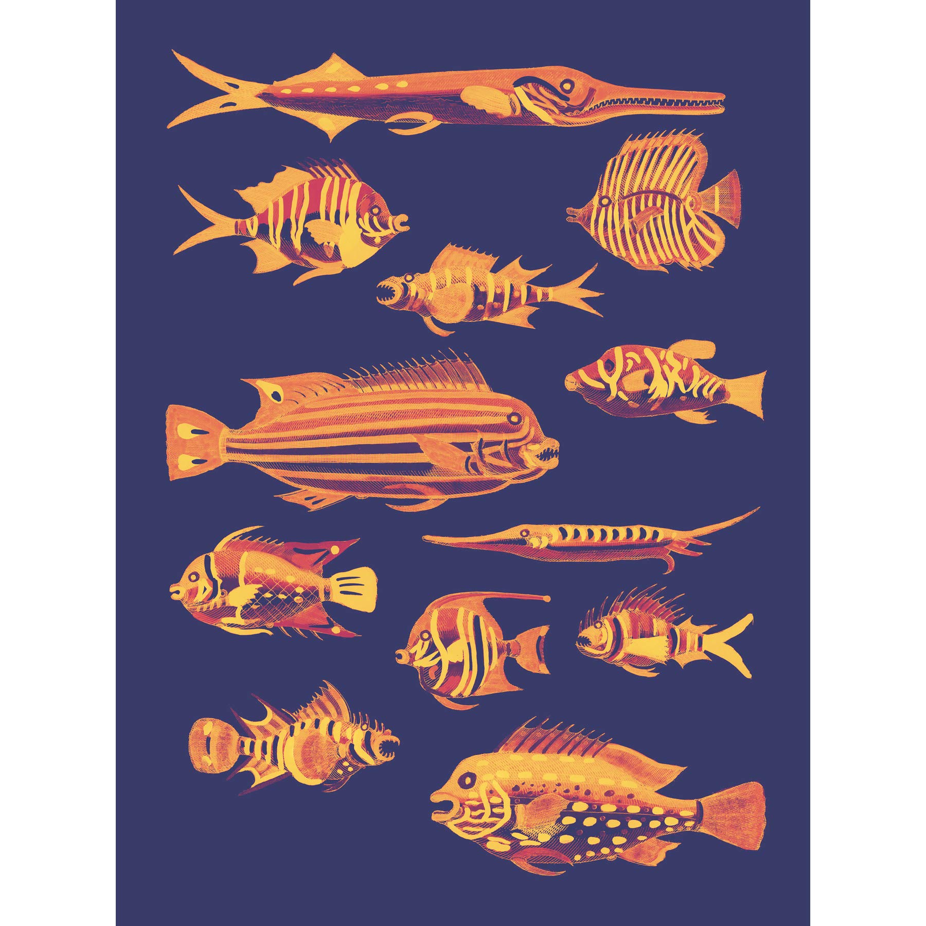 Wee Blue Coo Vivid School Of Fish Premium Wall Art Canvas Print 18X24 Inch