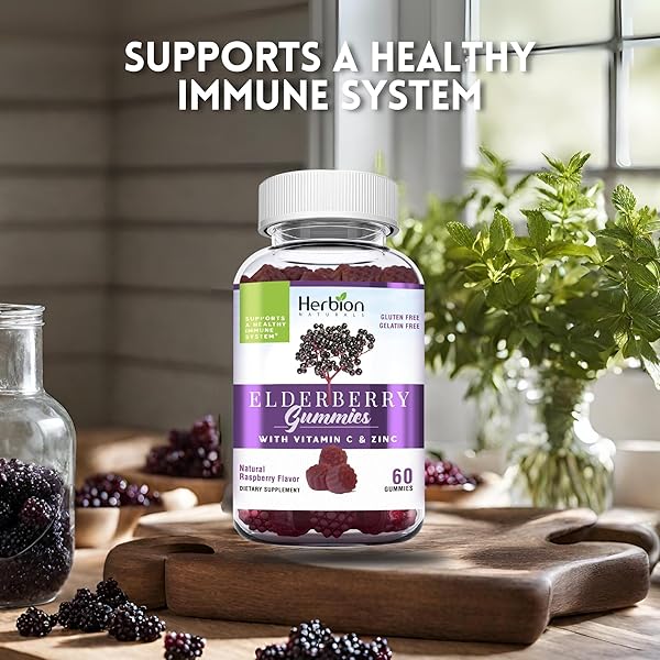 HERBION ELDERBERRY GUMMIES WITH VITAMIN C & ZINC – HEALTHY IMMUNE SYSTEM SUPPORT – GLUTEN-FREE & GELATIN-FREE – 60 GUMMIES FOR ADULTS & CHILDREN 4 YEARS & ABOVE – MADE IN USA, 60 COUNT (PACK OF 1)