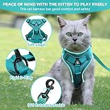 Grantop Cat Harness and Lead Set Adjustable Reflective Lake Blue M view 3