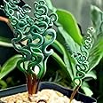 Generic 200PCS/BAG Green Succulents for DIY Bonsai and Potted Flowers - Vibrant Garden Delight