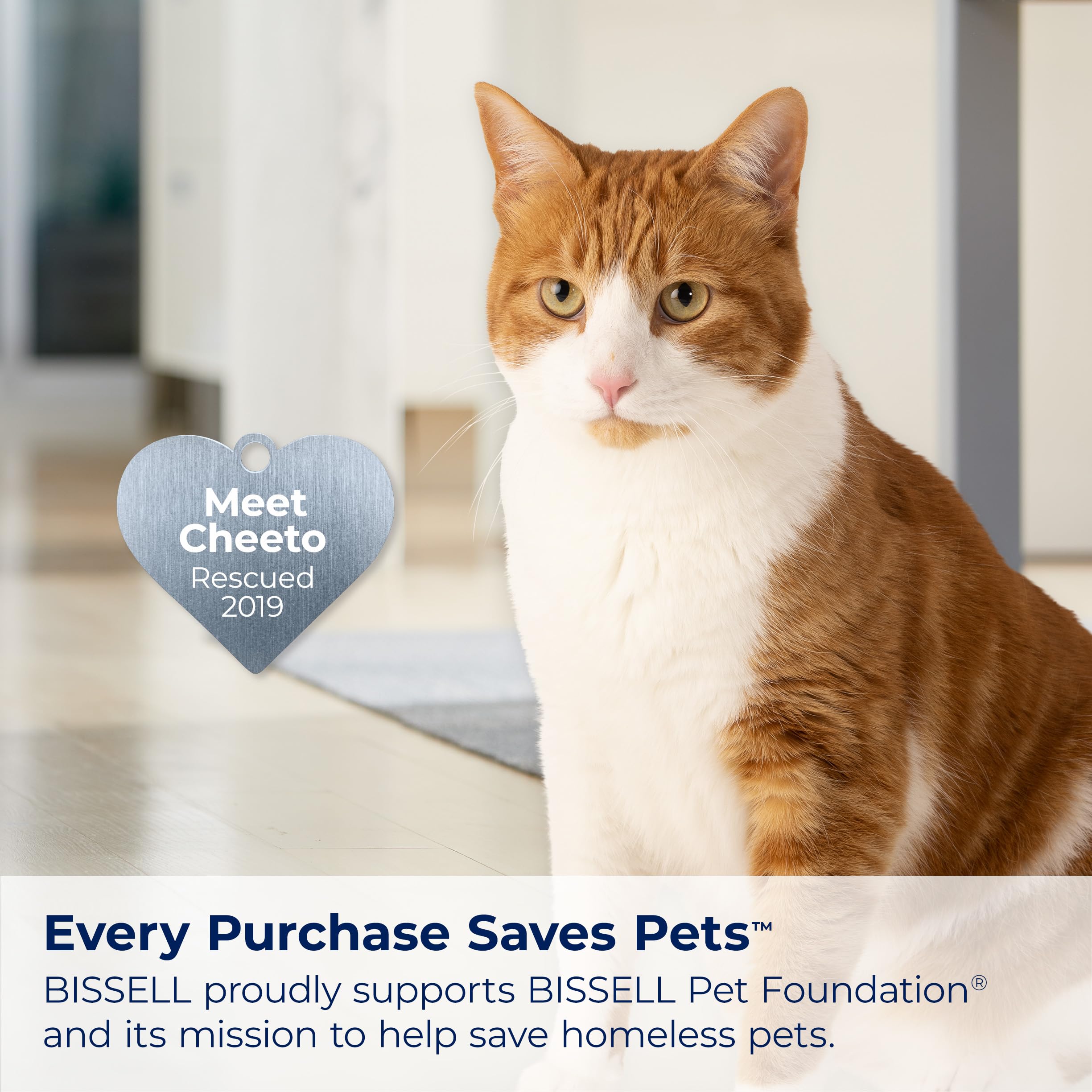 Bissell Simply Spot & Stain Portable Carpet Cleaner Formula, 32 oz, 3368