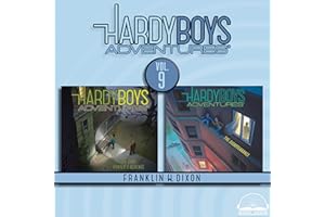 Hardy Boys Adventures Collection, Volume 9: The Gray Hunter's Revenge, The Disappearance