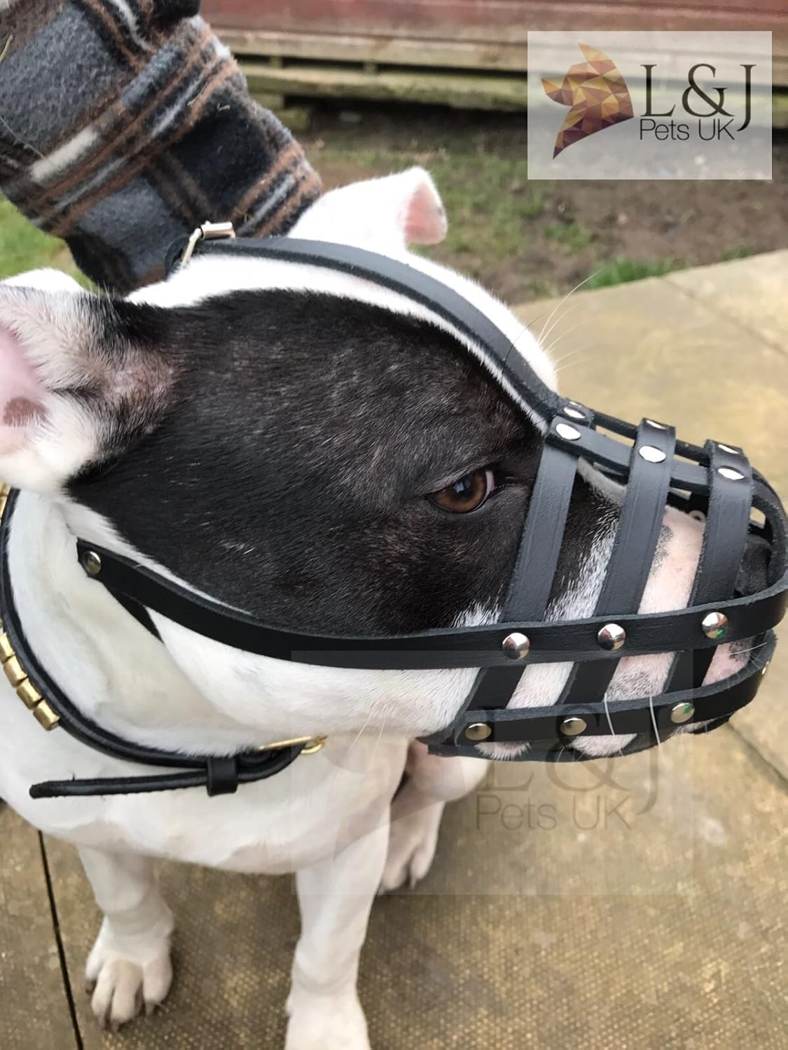soft muzzle for staffy