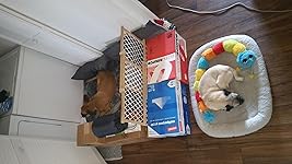 Review Image by stormgooser stormgooser