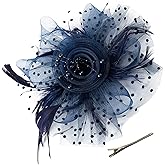 Kentucky Fascinators Hats for Women, Tea Party Headwear Mesh Flower Feather Headband & Hair Clip for Cocktail