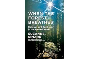 When the Forest Breathes: Renewal and Resilience in the Natural World