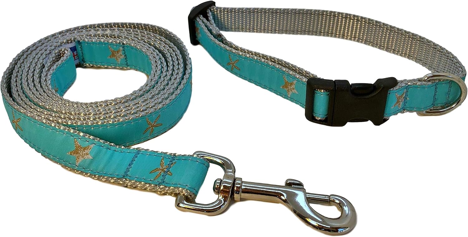 teal dog collar and leash