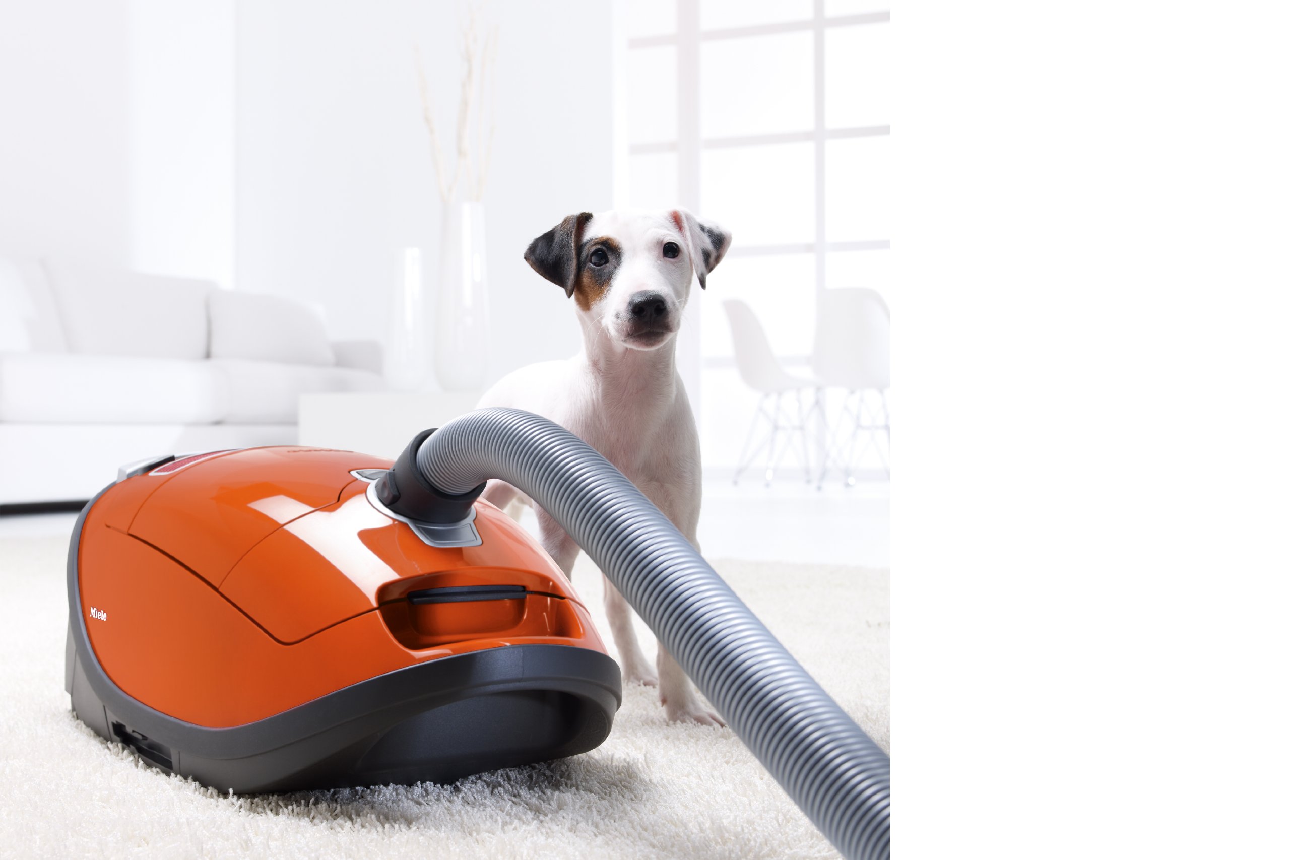 Miele S8380 Cat \u0026 Dog Canister Vacuum 