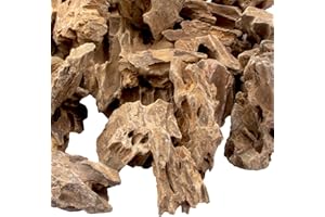 BLQH 18.1 Pounds Natural Dragon Stones for Aquascaping Terrariums,Aquarium Dragon Ohko Rock (2.1 to 7.2 inch)