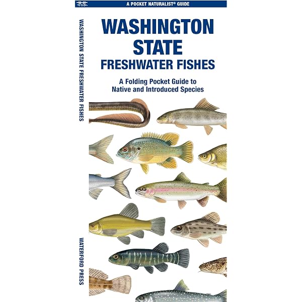 Freshwater Fishes of the Pacific Northwest: Craig Springer