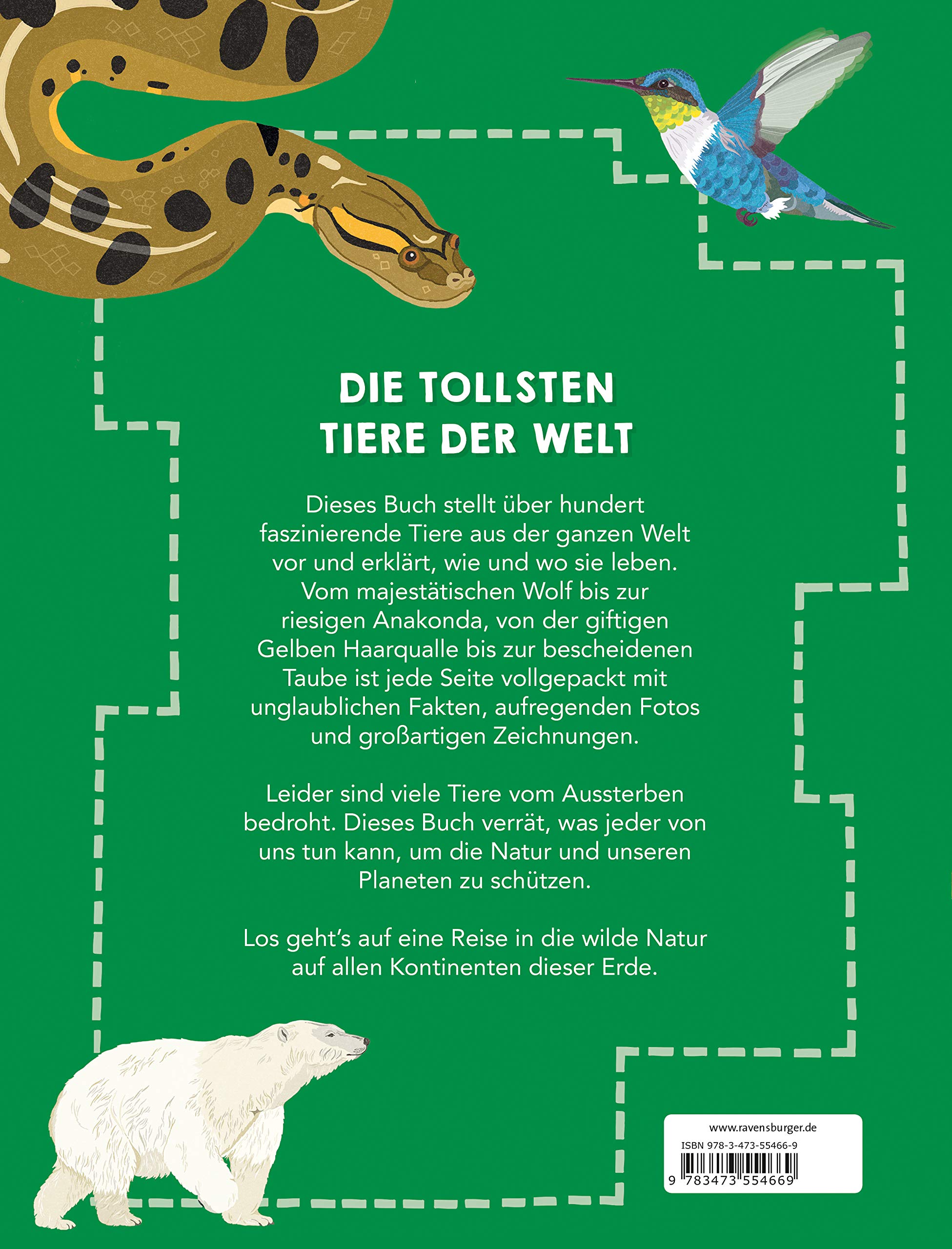 Die Tollsten Tiere Der Welt Amazon De Martin Ruth Cooper Dawn Hensel Wolfgang Bucher