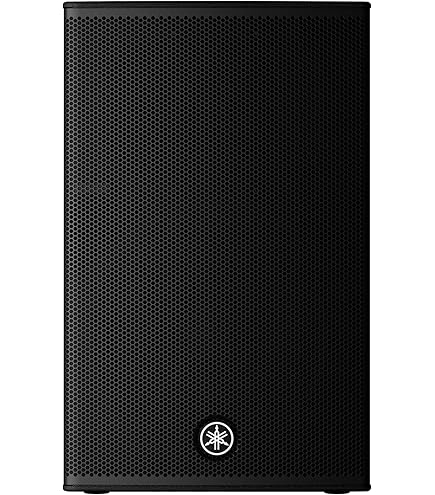 Amazon.com: Yamaha BR15 15-inch 2-Way Loudspeaker : Musical