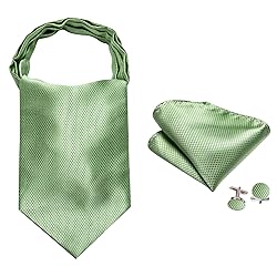 Ailisus Sage Green Ascot and Lapel Pin Set Man