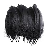 100PCS Natural Goose Feathers Decoration - Assorted