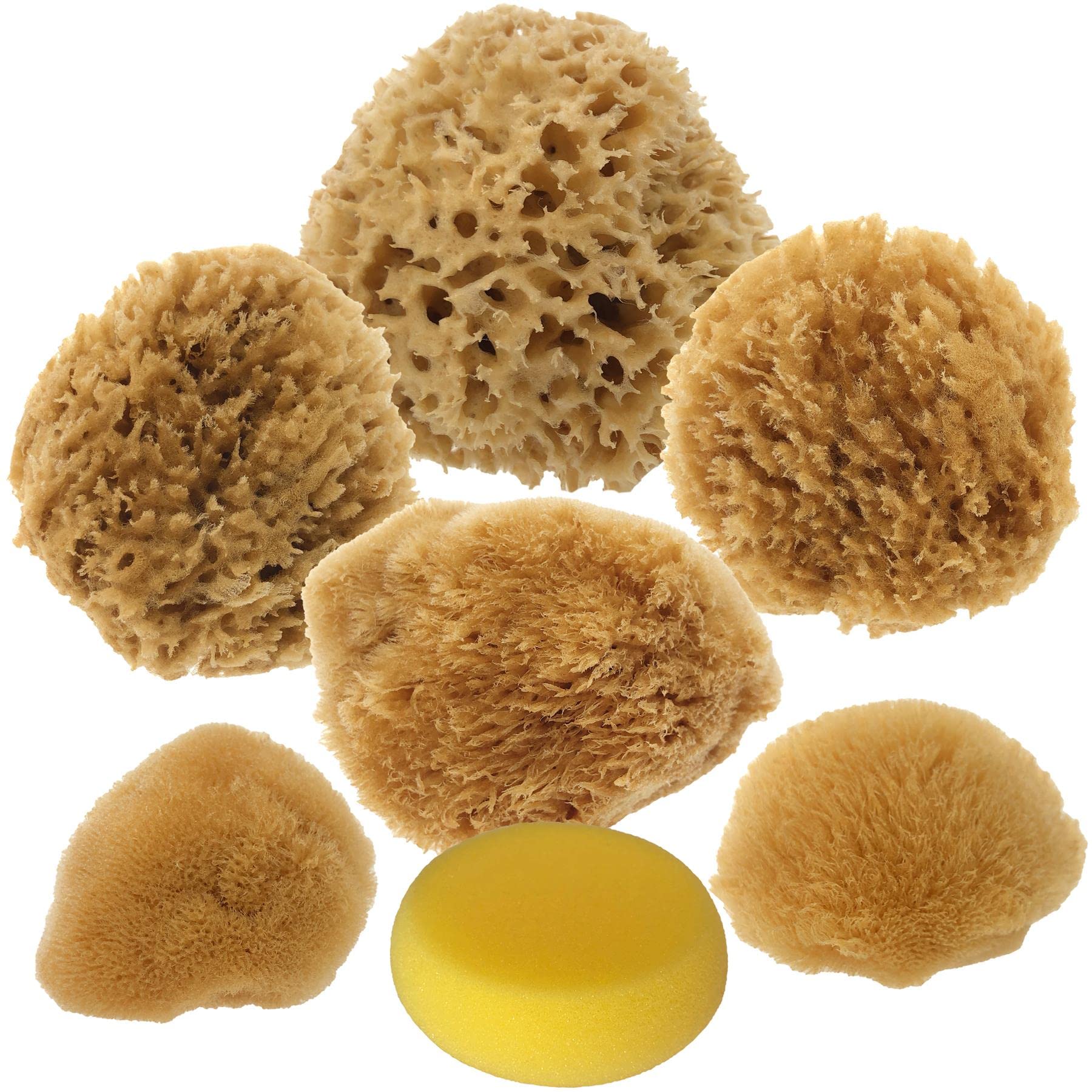 Givereldi Artist Painting Sponges Natural and Synthetic - Fine to Broad Texture - for Art, Decorating, Texturing, Sponging, Marbling, Faux Finish, Craft - 100% Natural, Organic, Strong, Durable, Gift